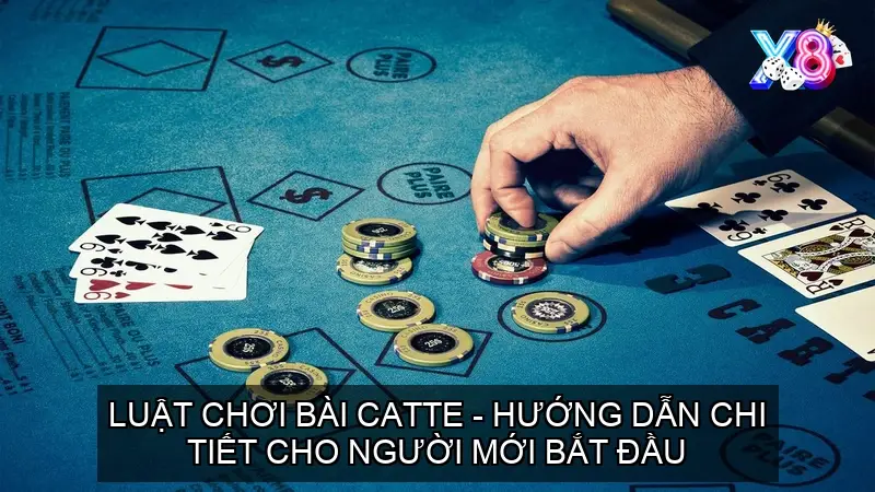 Luật Chơi Bài Catte - Hướng Dẫn Chi Tiết Cho Người Bắt Đầu
